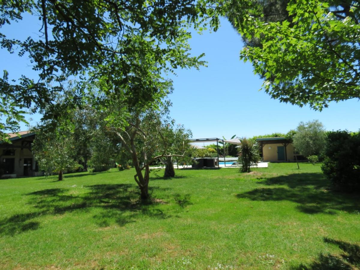 Les Hortensias Caumont-sur-Garonne Exterior photo